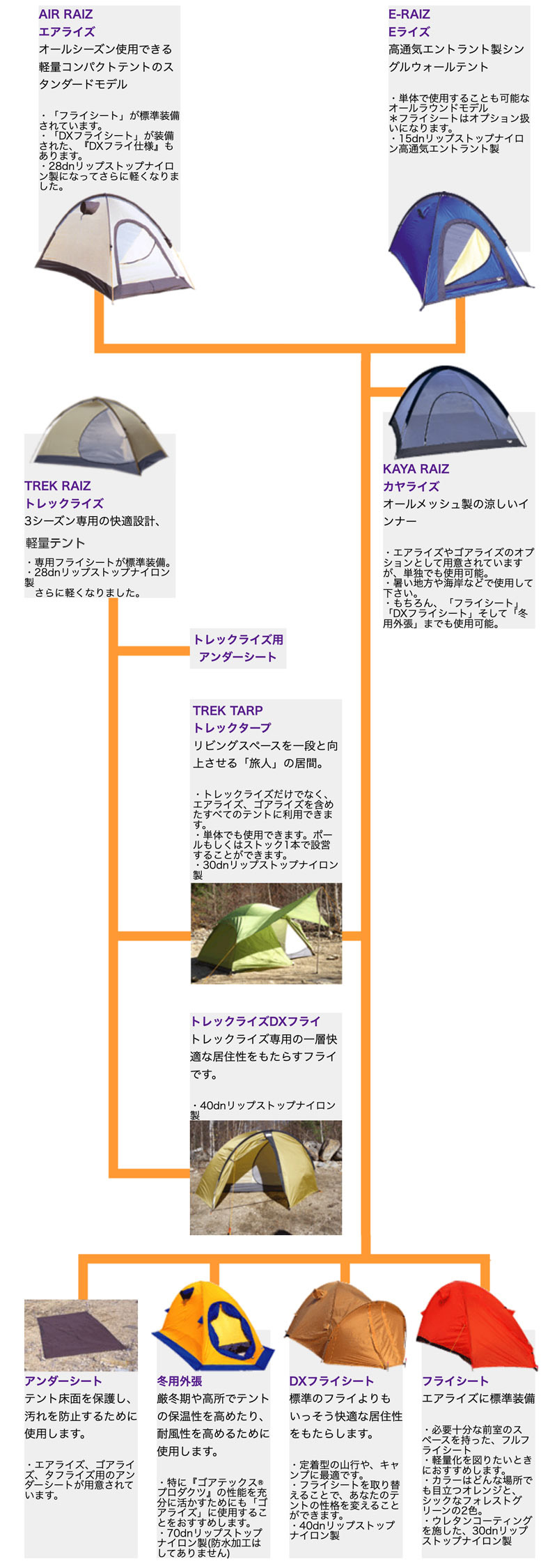ライズシリーズ組織図